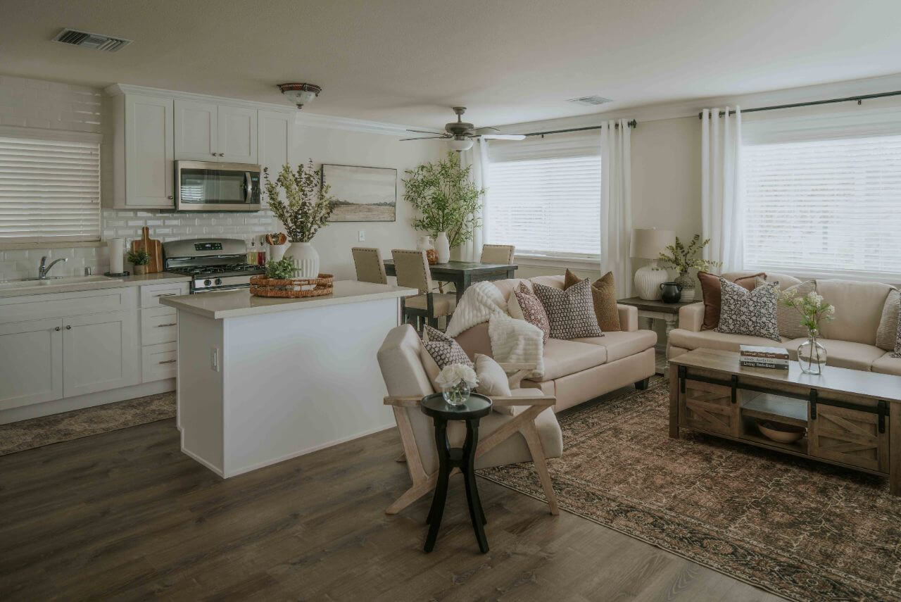 Living Room and Kitchen